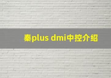 秦plus dmi中控介绍